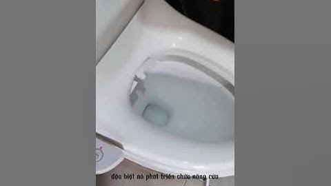 Các Chức Năng Nắp Bồn Cầu Thông Minh | Tiến Phương Đông #shorts