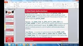 Sap Architect Critical Basis Authorizations
