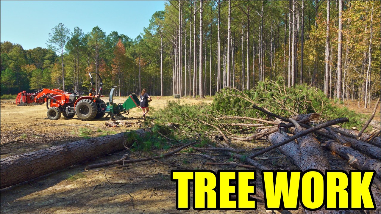 Day 199 - Tree Work Makes the Dream Work - YouTube