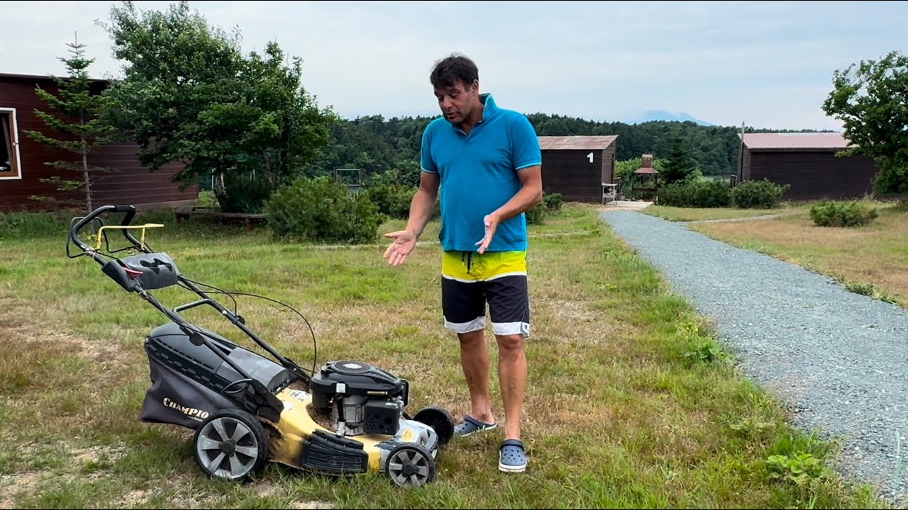 Champion LM5347. Отзыв после 5 лет эксплуатации