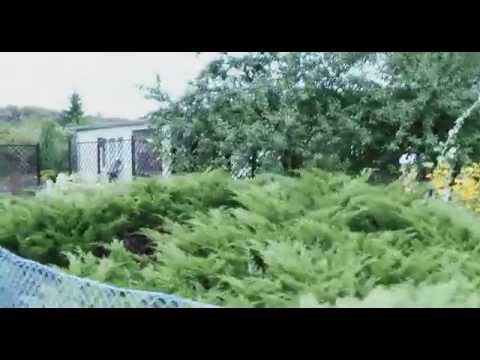 ПОЛЬША: Польские дачи... огороды в Быдгощи (Poland Bydgoszcz)
