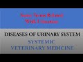 Terms associated with urination  veterinary pathology