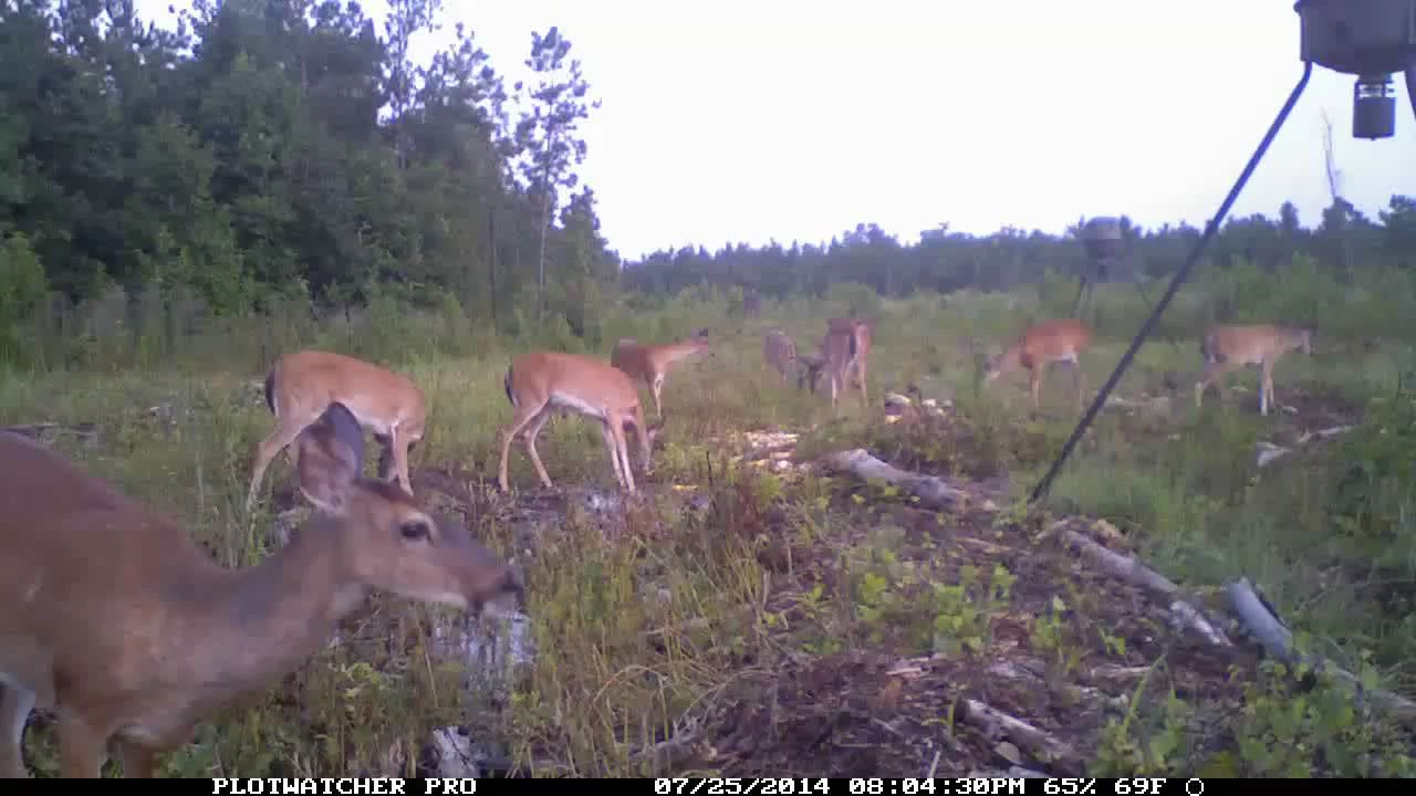 Waccamaw Hunting Services, LLC 