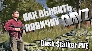 КАК ВЫЖИТЬ НОВИЧКУ В DayZ ОБТ [Ru]Dusk Stalker PVE