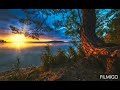 Radiic - Sunrise (Original mix RTK) 2020