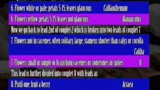 Identification Keys