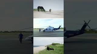 Sable Island Photography #sableisland #helicopter #novascotia #wildhorses