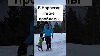 В Норвегии те же проблемы #норвегия #жизньвнорвегии #норвежцы #скандинавия