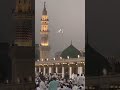 yah masjid e nabawi ka Manjar Suhana...🎧❤️😍🤗
