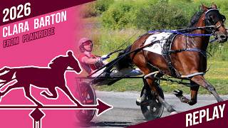 2026 Clara Barton | Twin B Joe Fresh | Mare Pace