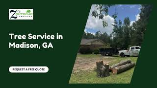 Tree Service in Madison, GA | Z’s Outdoor Services
