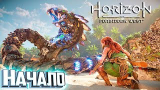 НОВЫЙ HORIZON Forbidden West НАЧАЛО Прохождения - на PS5