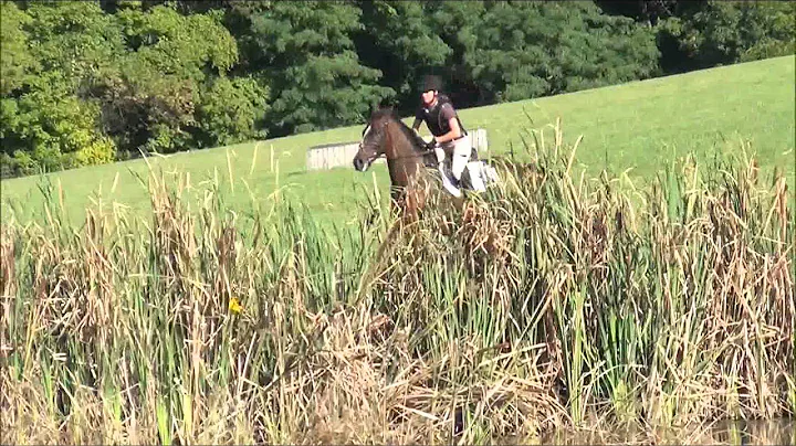 Maxine @ Phillip Dutton clinic XC