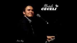 Video thumbnail of "Mustafa Ceceli - Eksik (karaoke)"