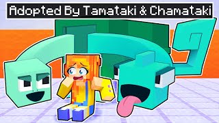 Adopted by TAMATAKI & CHAMATAKI in Minecraft!