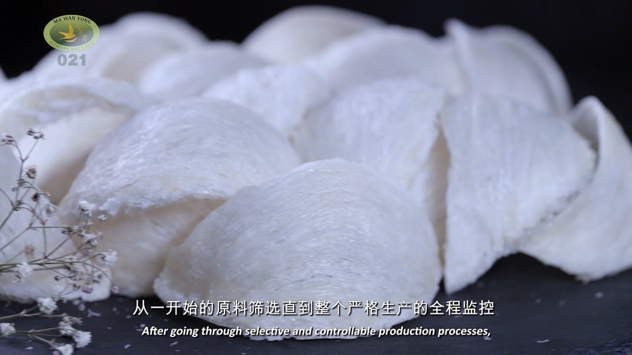 021 BIRDNEST PT MAPR MEDAN, INDONESIA - MA WAN YONG （马万勇） BIRD'S NEST PREMIUM QUALITY BRAND