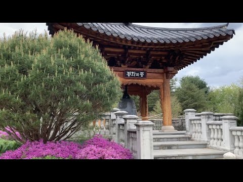 Video: Vienna Botanical Garden
