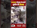 अररिया: PMFME योजना से बदली सुनील की किस्मत