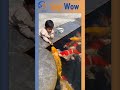 fish lover baby amazing video 😱#shorts #saywow#fish #animals