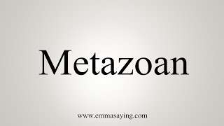 How To Say Metazoan