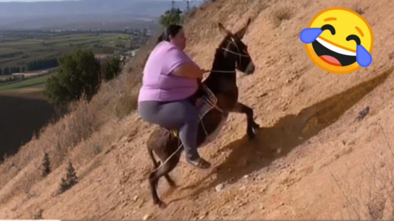 This scene shocked everyone 😂