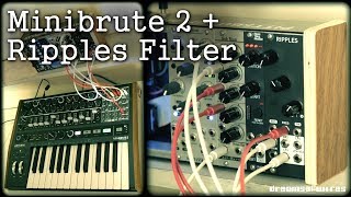 Minibrute 2 & External Filter demo - Using Ripples with 'Ext' audio input