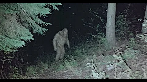 1 MINUTE AGO: This Man Recorded The Scariest BIGFOOT Dash Cam Footage In Existence!!