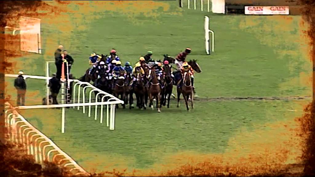 Horse Racing Thrills and Spills 2011 YouTube