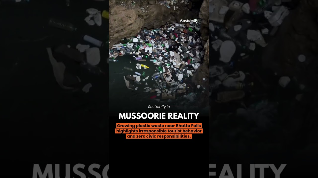 Mussoorie’s mountains deserve memories not plastic. #cleanindia #sustainability #travel #news