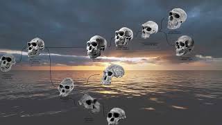 Why I made the film "Echoes of the Ancients: A Journey through Neanderthal Lives"