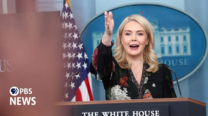 WATCH: Trump administration 'fully complying' with court order on SNAP benefits, White House says