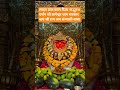 लाइव प्रातःकाल दिव्य अद्भुत दर्शन श्री बागेश्वर धाम सरकार #bageshwardham #love #romanticideas #ram