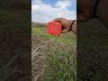 JBL Go water jump
