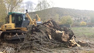 KOMATSU D85 DOZER SAHADAKİ AĞAÇ KÖKLERİNİ SÖKÜYOR EFSANE DOZERCİ "SARI SEVDAM" #part4  