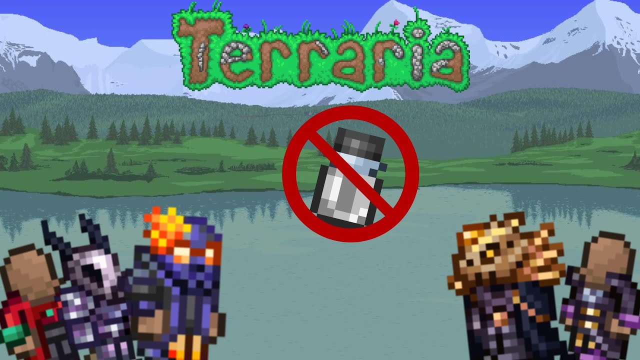 Terraria Vanity Costumes With No Dye! YouTube