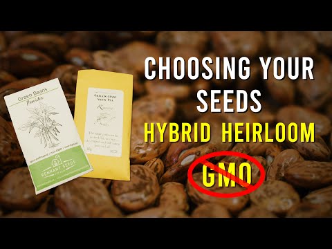 Choosing The Right Seeds: Heirlooms, GMO, Hybrid? | How To Country