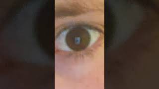 Download Lagu Trying this trend #abcd #respect #funny #memes MP3