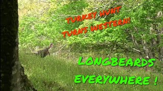 Turkey Hunt Turns Into a Shootout! (Late Season VA Turkey Hunt!)