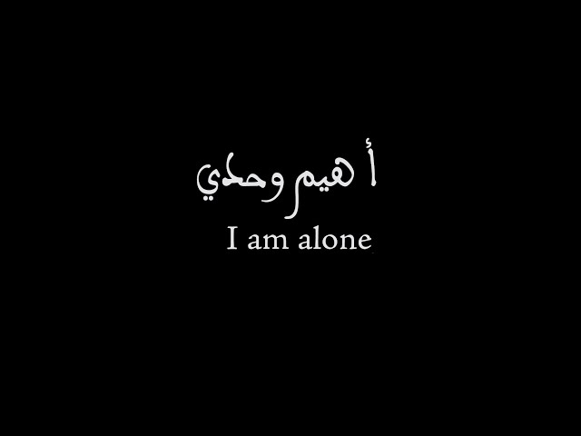 Diwan - I Am Alone class=