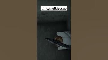 #shorts #csgo #server #youtubeshorts