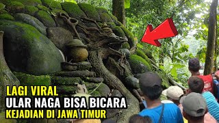 sudah masuk tv.!ular naga bisa bicara di jawa timur yang lagi viral