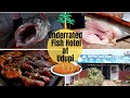 Most underated fish hotel at udupi