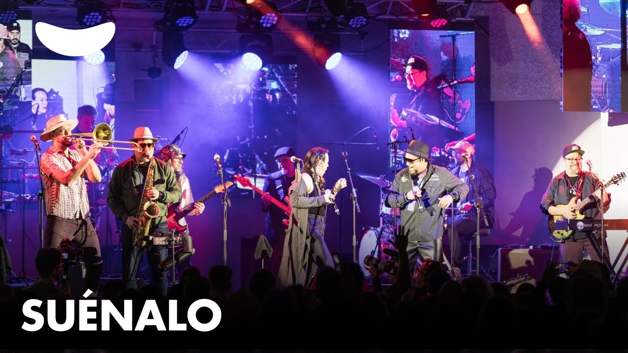 Παρακολούθηση Suénalo - Live at the Miami Beach Bandshell στο YouTube Παρακολούθηση Suénalo - Live at the Miami Beach Bandshell στο YouTube