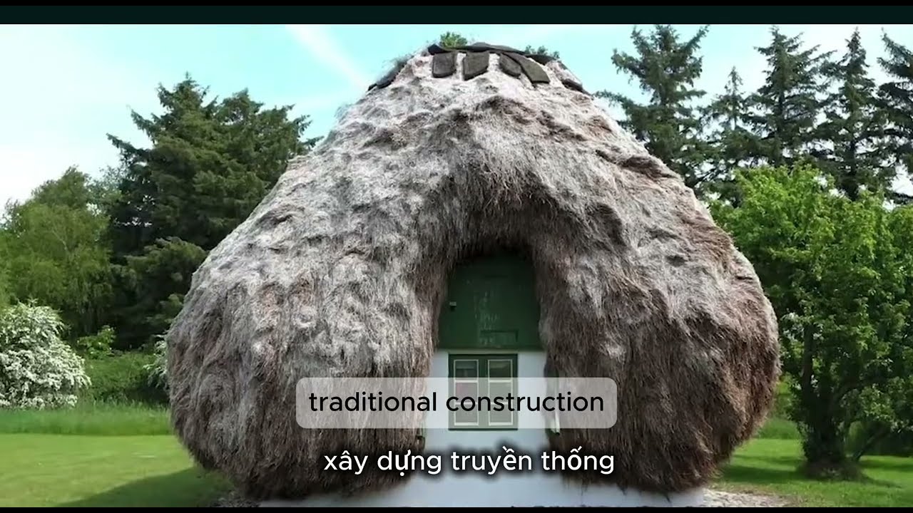 Building Without Harm: Mycelium Bricks and a Sustainable Future | VNBUILDING