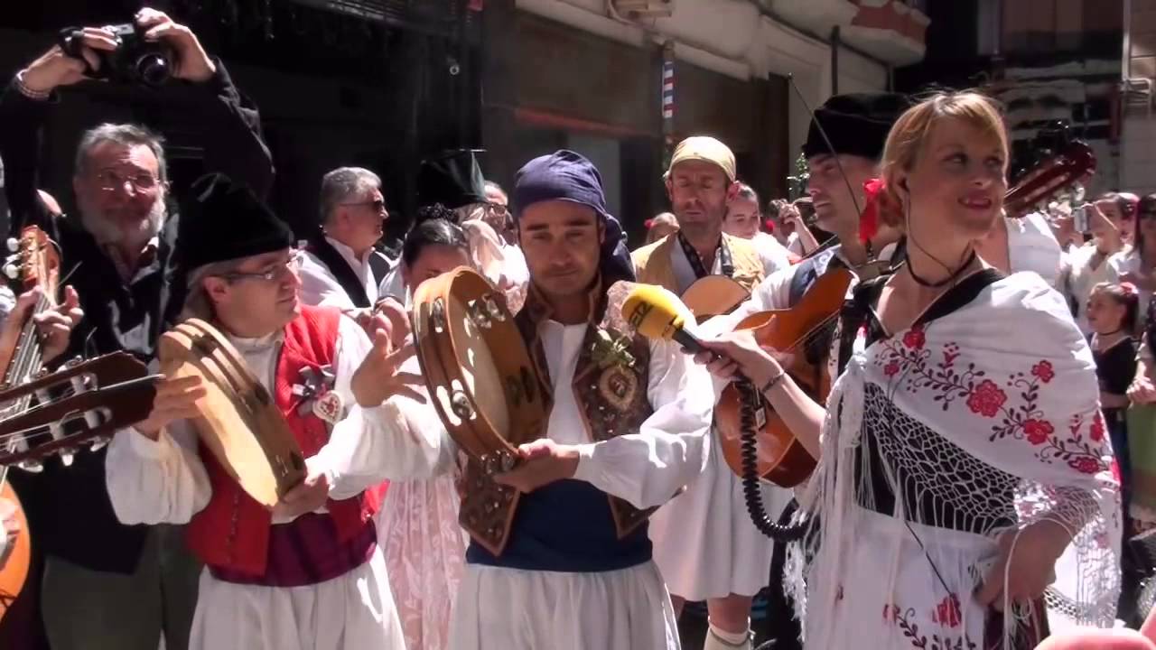 Bando de la huerta 2014.