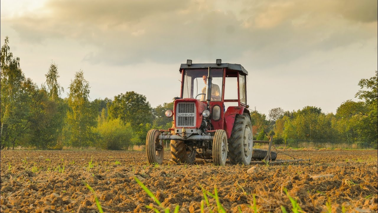Orka i Uprawa Pod Siew Pszenicy Ozimej Ursus c-330 4K 25 FPS