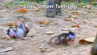 This Is Breaking Heart Clip Shocking Baby Quinton Cries Temper Tantrums