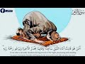 إ ن م ا ي ت ذ ك ر أ ول و ال أ ل ب اب من سورة الزمر صوت وخشوع لا نظير له محمد صديق المنشاوي 