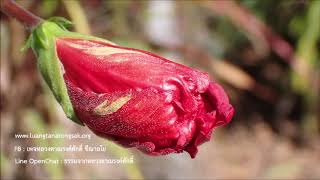 200718B1-2 ยึดตัวเราเป็นความไม่มีอะไร ตอนที่ 2