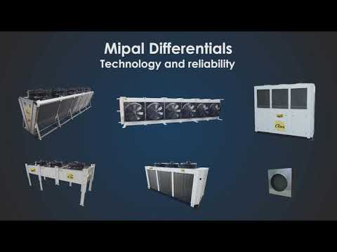 Institutional Mipal 65 Years